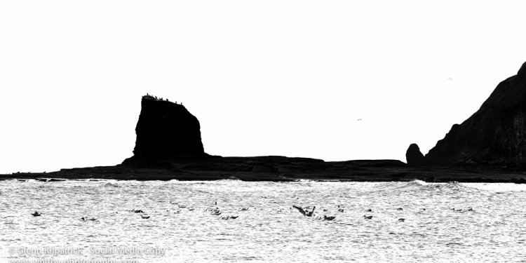 A Morning Walk At Saltwick Bay