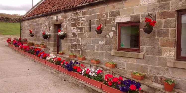 Lapwing Cottage