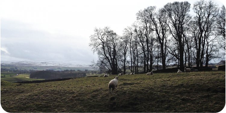Outlook Ampleforth Related