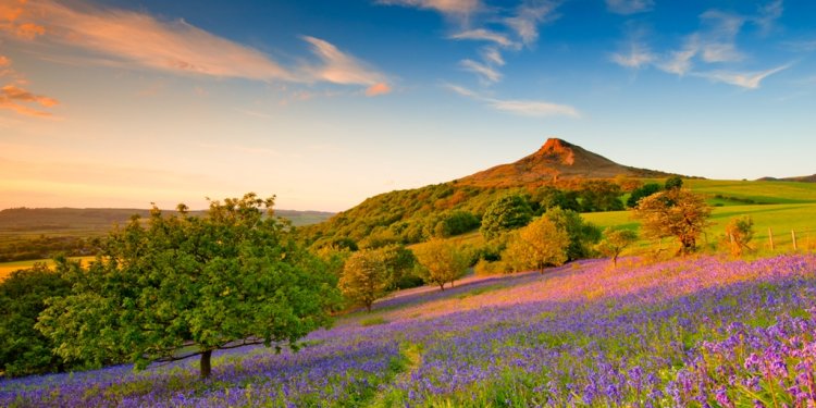 Roseberry Topping and the
