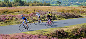 Cyclists on moorland road by Tony Bartholomew