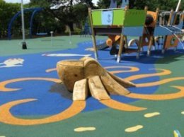 Pannett Park Playground Photo