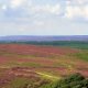 North York Moors National Park Sleights England