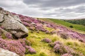 The Yorkshire Moors