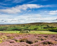 Sleights North Yorkshire