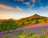 North York Moors National Park Sleights England