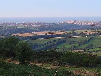 View of Whitby from Blue Bank Photo