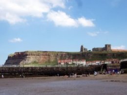 Whitby West Cliff Beach Photo